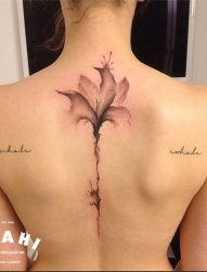 女生背部脊椎黑色线条素描创意唯美纹身图案