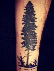 男生手臂上黑灰色清新树木纹身图片