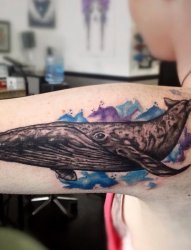 女生手臂上黑色素描鲸彩绘喷墨纹身图片