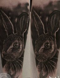 女生大腿上黑灰素描超写实3d兔子纹身图片