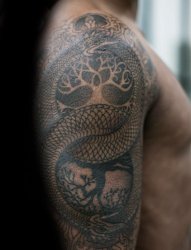 男生手臂上黑色素描创意个性霸气蛇纹身图片