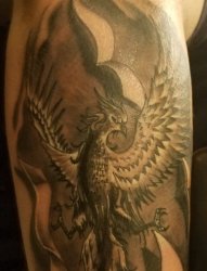 男生手臂上黑灰色极具创意的凤凰展翅纹身图片