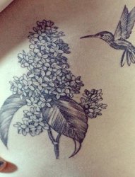 女生腰侧黑灰色简约线条花朵与蜂鸟纹身图片