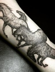 男生手臂上黑色线条素描创意个性马纹身图片