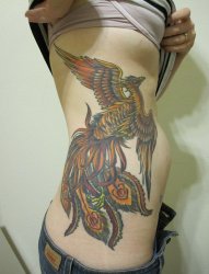 女生侧腰彩绘水彩创意个性霸气凤凰纹身图片