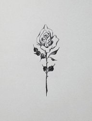 黑色线条素描简约唯美玫瑰纹身手稿