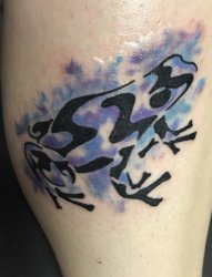 男生腿上水彩泼墨线条青蛙纹身图片