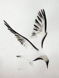 黑色古典水墨虚实结合动物小鸟纹身手稿