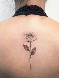 多款关于玫瑰的彩绘文艺小清新唯美花朵纹身图案