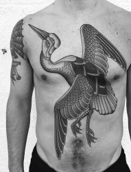 男生胸口上黑色线条素描创意动物鹤纹身图片