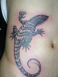 蜥蜴纹身，3D蜥蜴纹身，胡埭纹身店，胡埭纹身多少钱，远航纹身