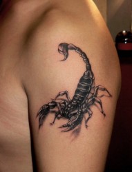 肌肉男手臂毒蝎子纹身图片