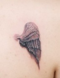 背上的天使小翅膀
