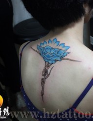 美女背部梦幻蓝色鲜花纹身图片