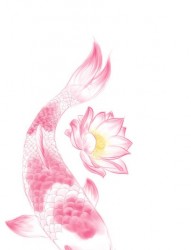 粉色莲花绕鲤鱼刺青图片