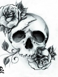 黑色玫瑰与白色骷髅的深渊图案