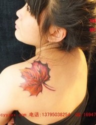 美女左后肩上的漂亮枫叶刺青