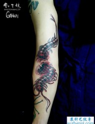 手臂两条蜈蚣纹身作品
