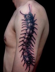 左手臂上黑色蜈蚣纹身图案