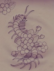 花丛中的蜈蚣纹身手稿