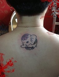 后颈下部小象纹身作品欣赏