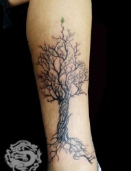 腿部树枝纹身图案-李轩纹身店作品