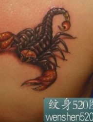 三张胸前彩色蝎子纹身图