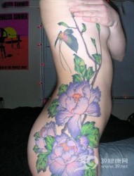 女士臀部性感的花朵蝴蝶纹身图案