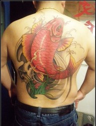 男士后背满背大红鲤鱼刺青图案