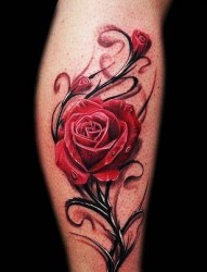 小腿侧部漂亮的玫瑰纹身