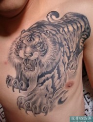 男性胸前的凶猛老虎纹身图片