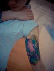 个性水彩鸟手臂纹身图案