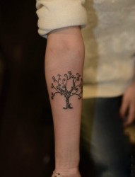 小清新生命树手臂纹身图
