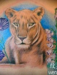 武汉专业纹身：后背狮子花纹身图案图片