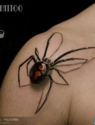 一款非常立体的蜘蛛纹身