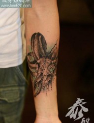 男生手臂时尚帅气的一张羊头骷髅纹身图案