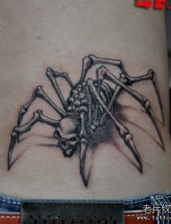 腰部一张骷髅蜘蛛纹身图