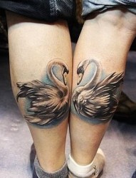 情侣腿上天鹅成对刺青图案