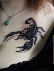 女性胸前上方蝎子刺青作品