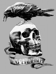 经典时尚欧美纹身图案电影《敢死队》史泰龙背部乌鸦骷髅纹身图案手稿