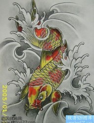 纹身520图库为纹身爱好者提供一张彩色鲤鱼纹身手稿