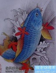 纹身手稿一幅蓝色鲤鱼纹身手稿