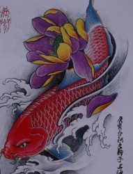 鲤鱼纹身手稿：彩色莲花鲤鱼纹身手稿