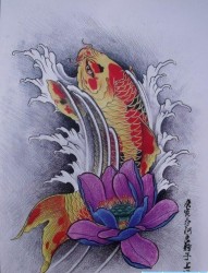 鲤鱼纹身手稿：彩色鲤鱼莲花纹身手稿