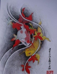 金鱼鲤鱼纹身手稿