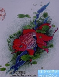 一张金鱼鲤鱼纹身手稿