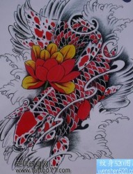 专业纹身图库为你提供一张莲花鲤鱼纹身手稿