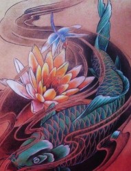 鲤鱼纹身手稿―彩色莲花蜻蜓鲤鱼纹身手稿