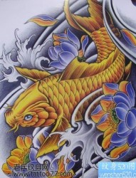 纹身520图库为你提供一张金色鲤鱼纹身手稿