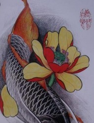 莲花鲤鱼纹身手稿纹身520图库为你提供